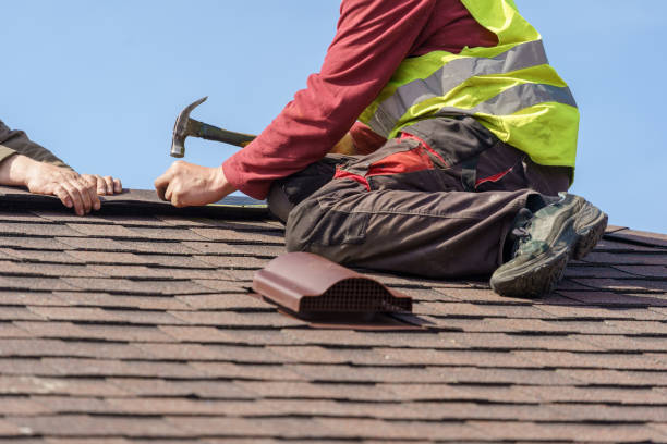 Best Roof Leak Repair  in Camp Point, IL
