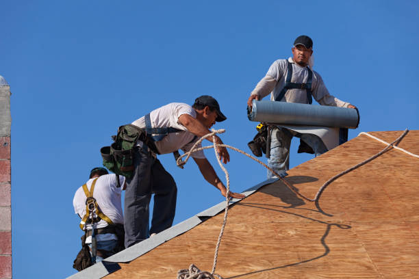 Best Emergency Roof Repair  in Camp Point, IL