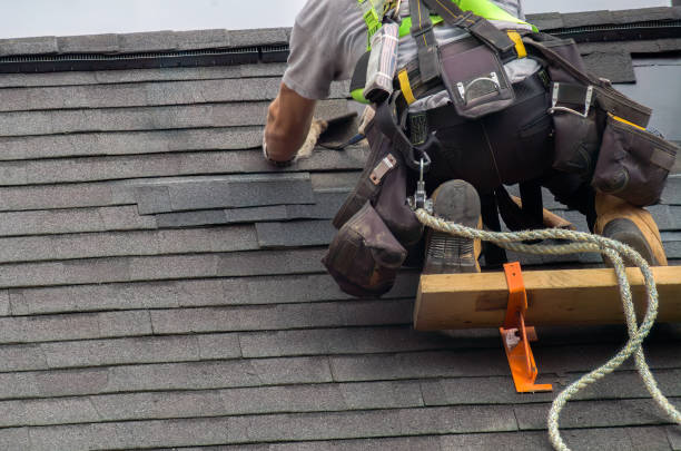 Best Roof Gutter Cleaning  in Camp Point, IL