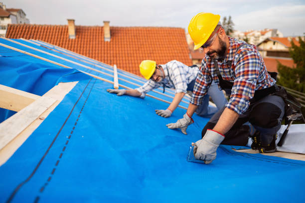 Best Commercial Roofing Services  in Camp Point, IL