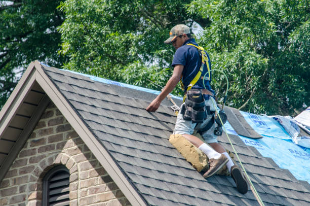 Best Shingle Roofing Installation  in Camp Point, IL